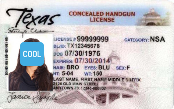 Concealed handgun license